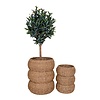 ebuy24 Sarbas mand Ã˜25/35cm set van 2 naturel.