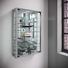 ebuy24 VitrosaMini vitrinekast wandmontage met spiegel 2 glazen deuren Incl. LED-verlichting zilverkleurig.