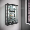 ebuy24 VitrosaMini vitrinekast wandmontage met spiegel 2 glazen deuren Incl. LED-verlichting zwart.