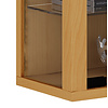ebuy24 Vitrosa Mini vitrinekast wandhangend met 2 glazen deuren en lichtBeuken decor.