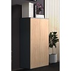 ebuy24 Dalosa3 dressoir 2 deuren antraciet, eik decor.