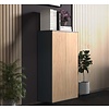ebuy24 Dalosa3 dressoir 2 deuren antraciet, eik decor.