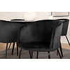 ebuy24 DippÃ˜115BLBL eethoek eetkamertafel zwart en 4 Berit eetkamerstal velours zwart.