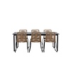 ebuy24 Modena tuinmeubelset tafel 200x100cm, 6 stoelen Lindos, zwart,bruin.