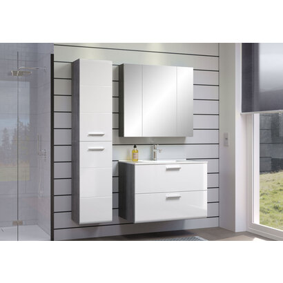 ebuy24 Riva badkamer E met spiegelkast decor rookzilver, wit hoogglans.
