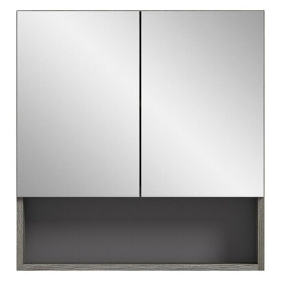 ebuy24 Silver spiegelkast 2 deuren, 1 plank rookkleurig.