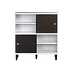 ebuy24 Evolution wandkast 2 deuren, 4 planken wit, zwart.