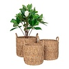 ebuy24 Krabi mand set van 3 stuks. naturel.