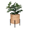 ebuy24 Antas planten schuilplaatsen naturel,zwart.