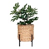 ebuy24 Antas planten schuilplaatsen naturel,zwart.