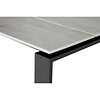ebuy24 Martinus tuintafel 100x210cm zwart,grijs.