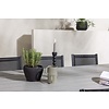 ebuy24 Garcia tuinmeubelset tafel 100x200cm grijs, 6 stoelen Copacabana zwart.