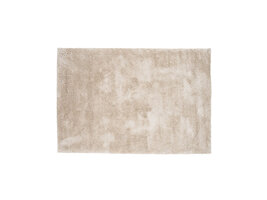 ebuy24 Walter vloerkleed 290x200cm beige.