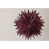 ebuy24 Sälen kerstster met licht papier Ø46 cm hanglamp donkerrood.