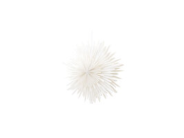 ebuy24 Sälen kerstster met licht papier Ø46 cm hanglamp wit.