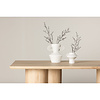 ebuy24 Olivia eetkamertafel 100x210 cm whitewash.