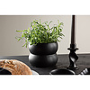 ebuy24 Dapne bloempot mat zwart.