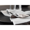 ebuy24 Bloria stoffen servet rayon lichtgrijs.