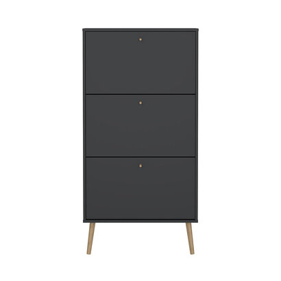 ebuy24 Bodo schoenenkast 3 klapdeuren matgrijs.