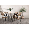 ebuy24 BreakLindos tuinmeubelset 1 eettafel, 4 stoelen zwart.