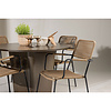 ebuy24 SantaFeLindos tuinmeubelset 1 eettafel, 4 stoelen bruin.