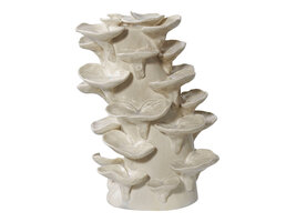 ebuy24 Viseu Decoratie beige.