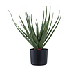 ebuy24 Aloe Vera Kunst boom hoogte 51cm groen.