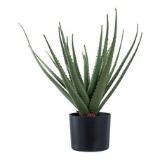 ebuy24 Aloe Vera Kunst boom hoogte 51cm groen.