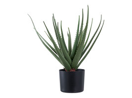 ebuy24 Aloe Vera Kunst boom hoogte 51cm groen.