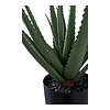 ebuy24 Aloe Vera Kunst boom hoogte 51cm groen.