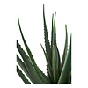 ebuy24 Aloe Vera Kunst boom hoogte 51cm groen.