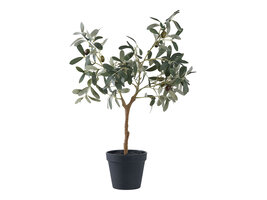 ebuy24 Oliventræ Kunst boom hoogte 61cm groen.