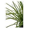 ebuy24 Græs Kunst boom hoogte 45cm groen.