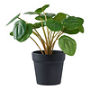 ebuy24 Pelia Kunst boom hoogte 28cm groen.