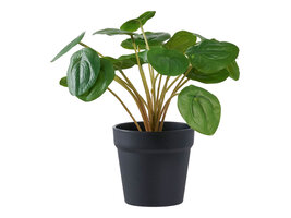 ebuy24 Pelia Kunst boom hoogte 28cm groen.