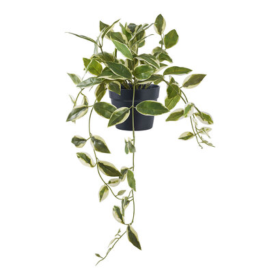 ebuy24 Voksblomst Kunst boom hoogte 33cm groen.