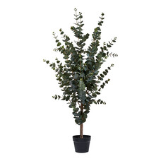 ebuy24 Eukalyptus Kunst boom hoogte 120cm groen.