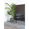 ebuy24 Palme Kunstpalm H175 cm groen.