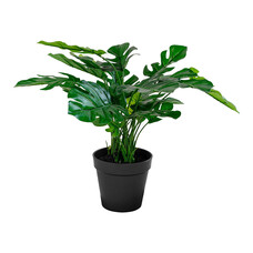 ebuy24 Monstera Kunstplant H45 cm groen.