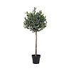 ebuy24 Oliventræ Kunstplant H120 cm groen.