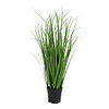 ebuy24 Græs Kunst poa gras H68 cm groen.