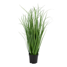 ebuy24 Græs Kunst poa gras H68 cm groen.