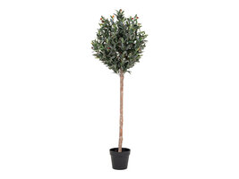 ebuy24 Oliventræ Kunstplant H150 cm groen.