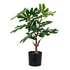 ebuy24 Figentræ Kunstplant H60 cm groen.