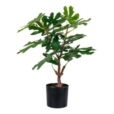 ebuy24 Figentræ Kunstplant H60 cm groen.