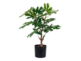 ebuy24 Figentræ Kunstplant H60 cm groen.