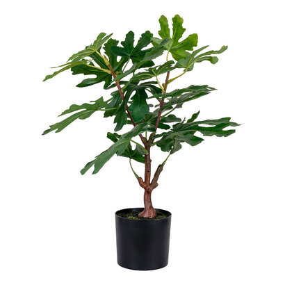 ebuy24 Figentræ Kunstplant H60 cm groen.