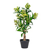 ebuy24 Træ Kunstplant H75 cm groen.