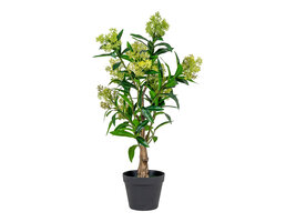 ebuy24 Træ Kunstplant H75 cm groen.