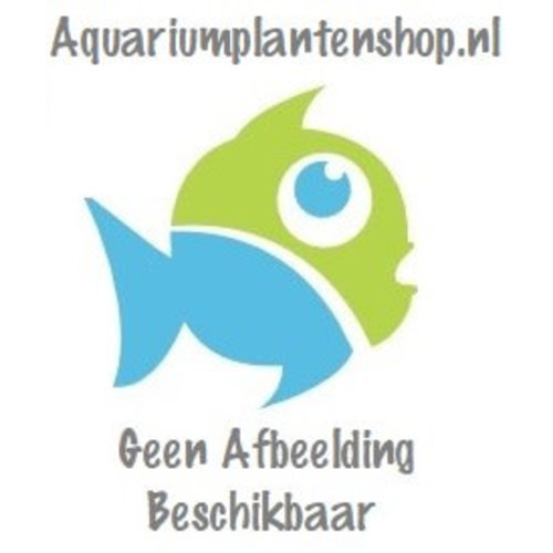 Eheim Asje voor 2003 2007 2009 2209 Eheim Asje voor 2003 2007 2009 2209
